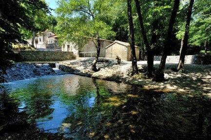 Kamp Dujceva Domacija