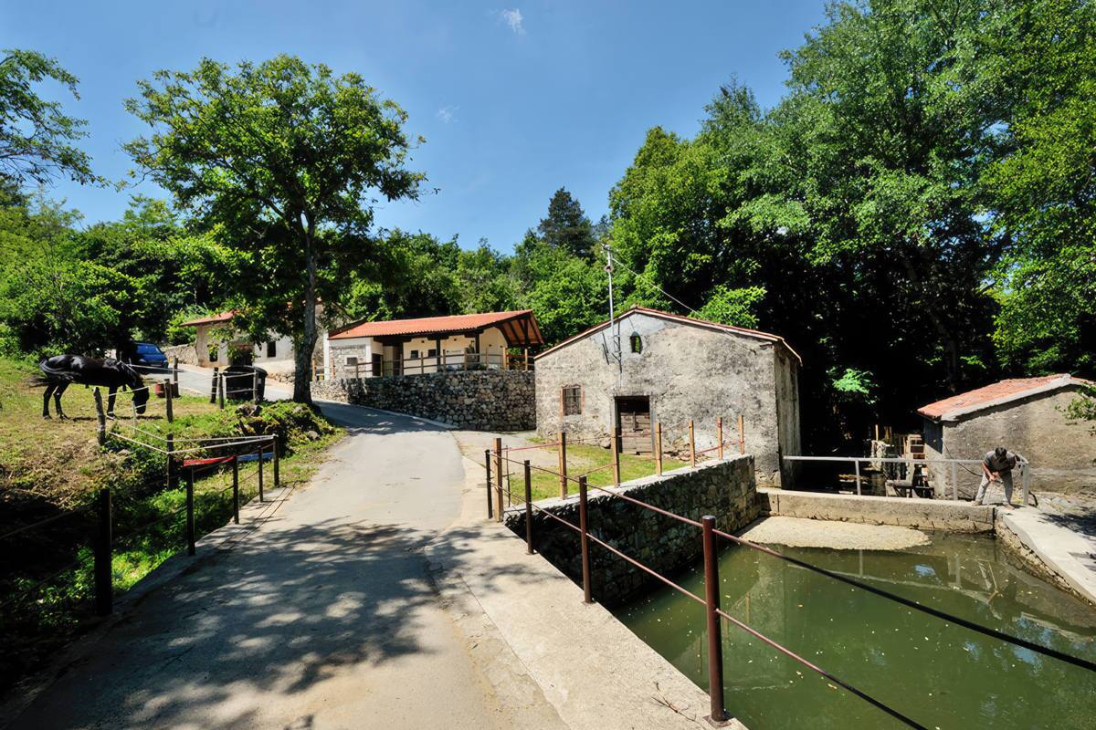 Kamp Dujceva Domacija