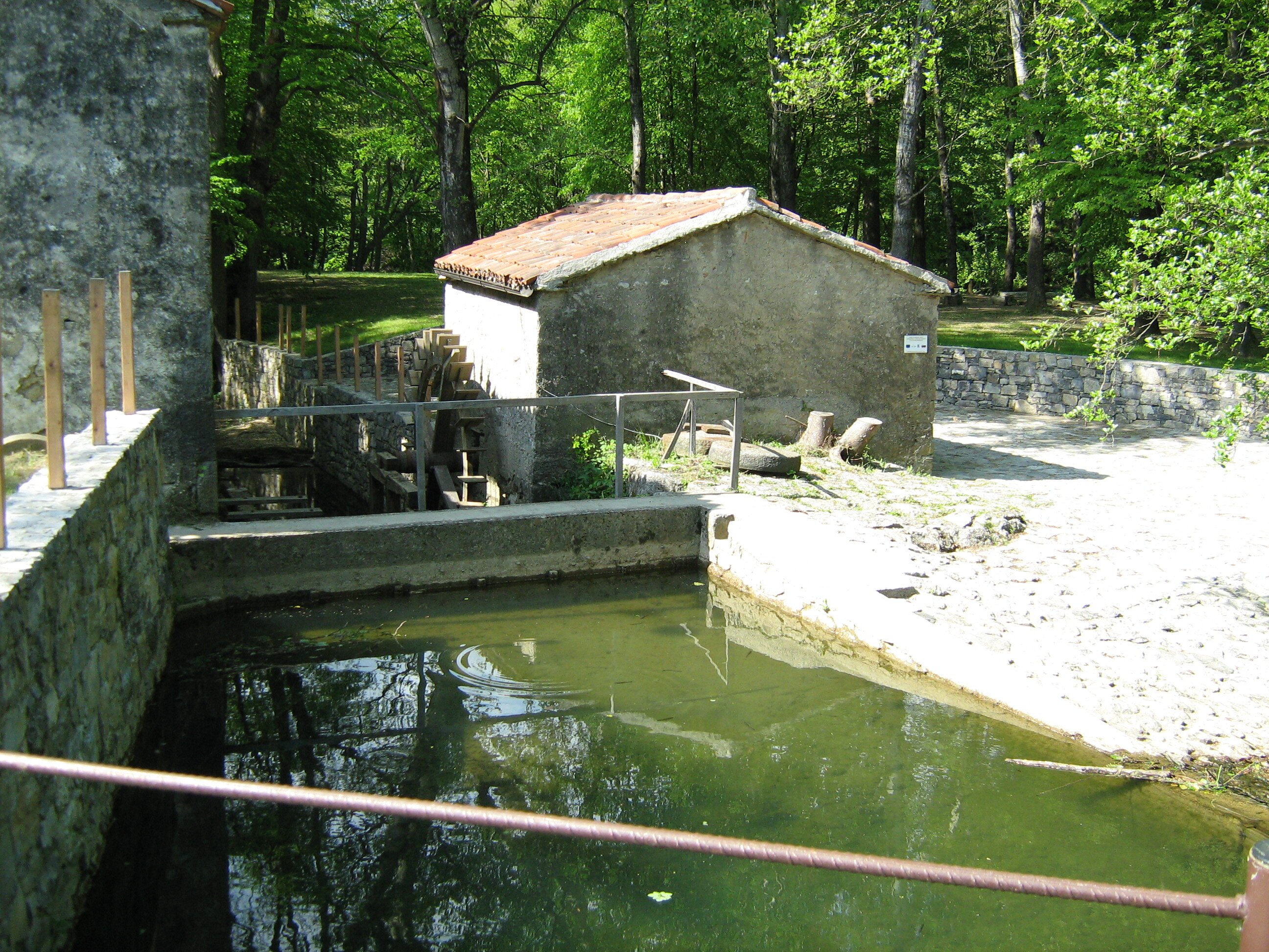 Kamp Dujceva Domacija