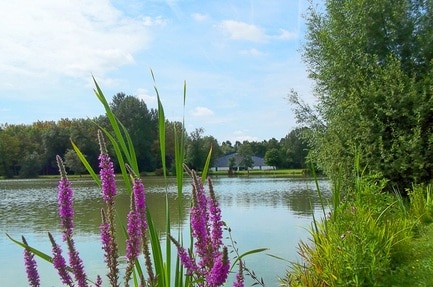 Camping de l'Aigrette