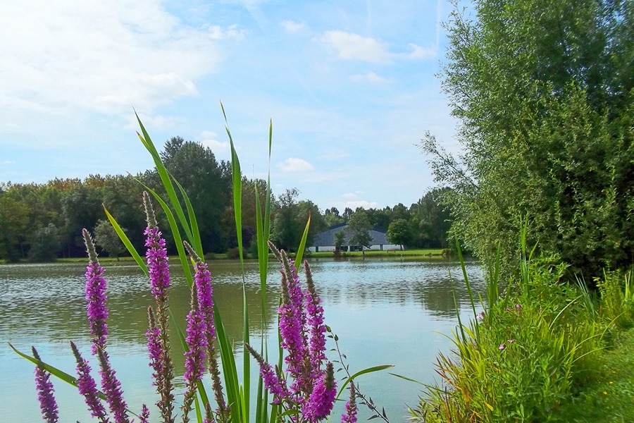 Camping de l'Aigrette