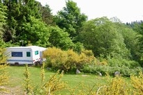 Tolne Camping – billede 5