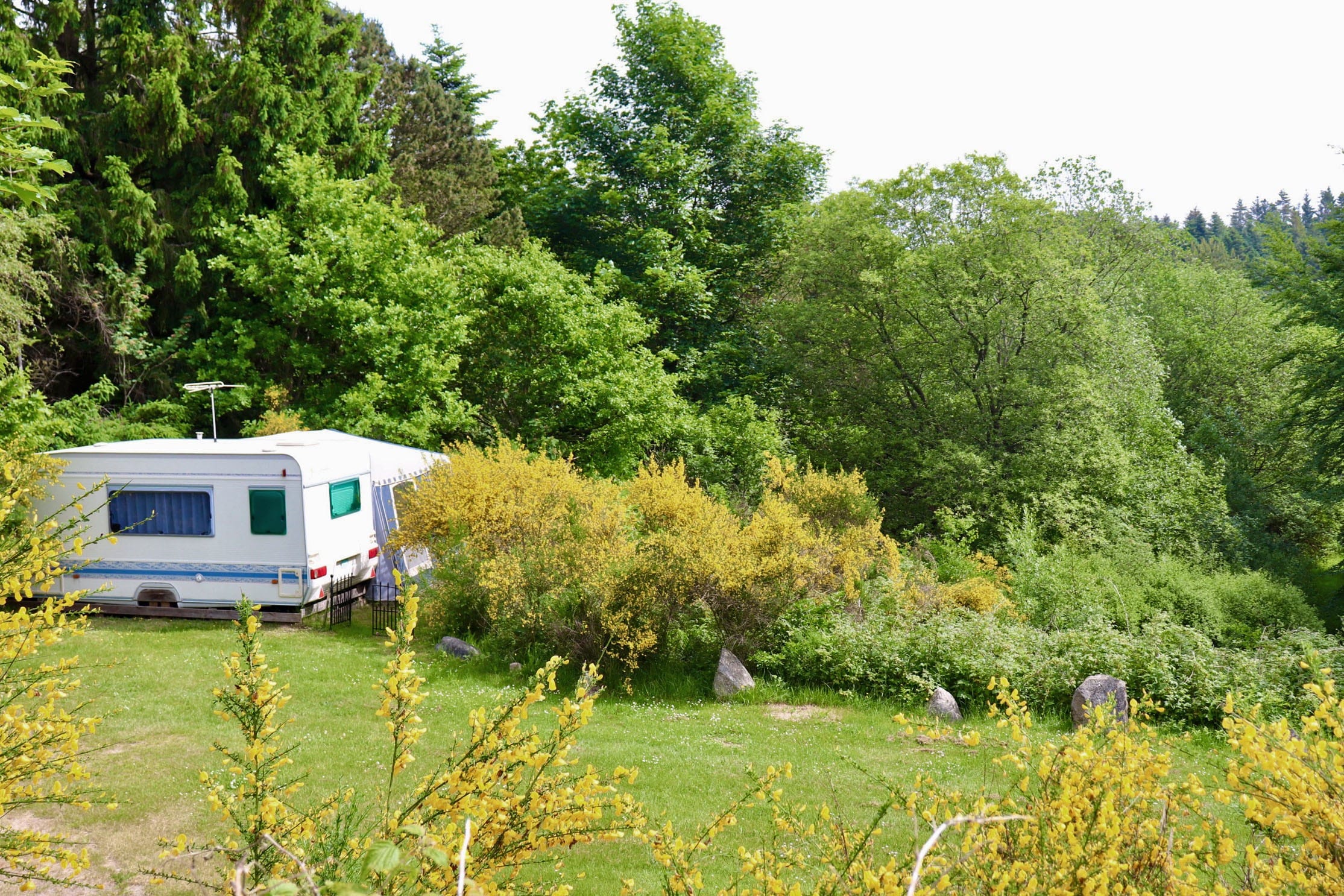 Tolne Camping