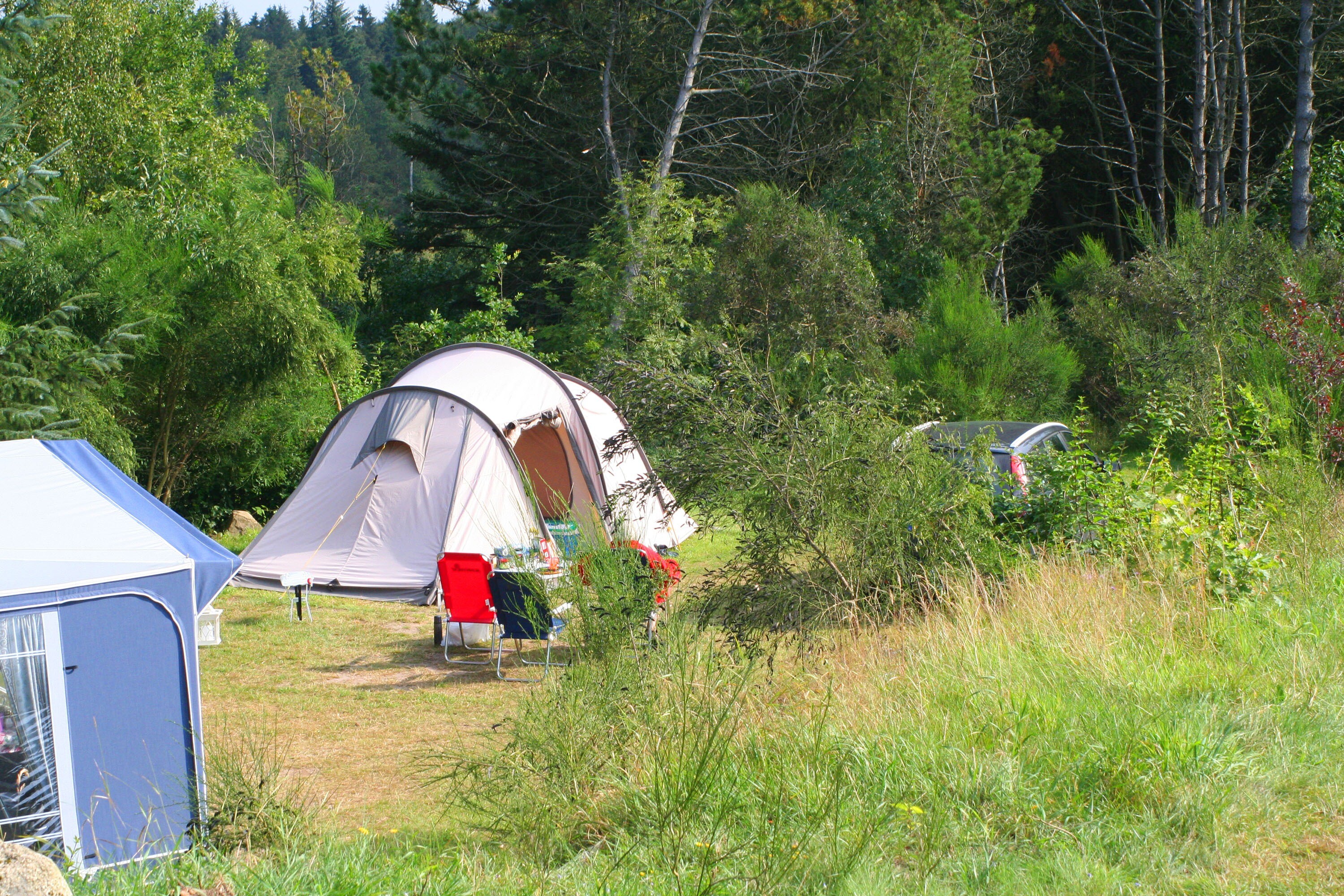Tolne Camping