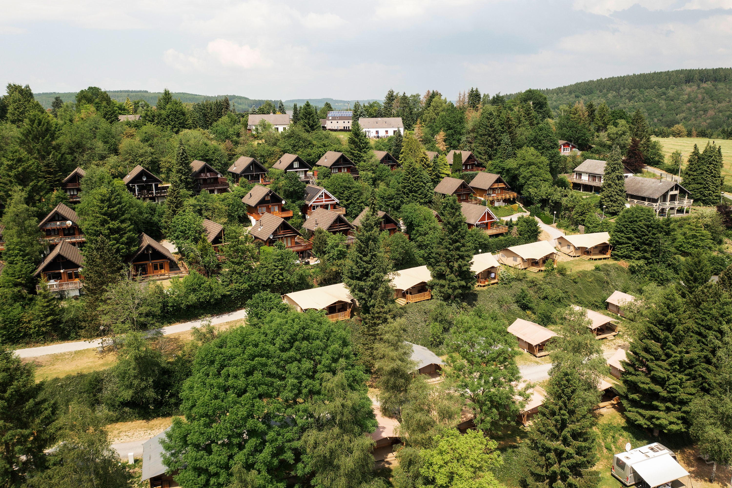 ArdenParks Petite Suisse