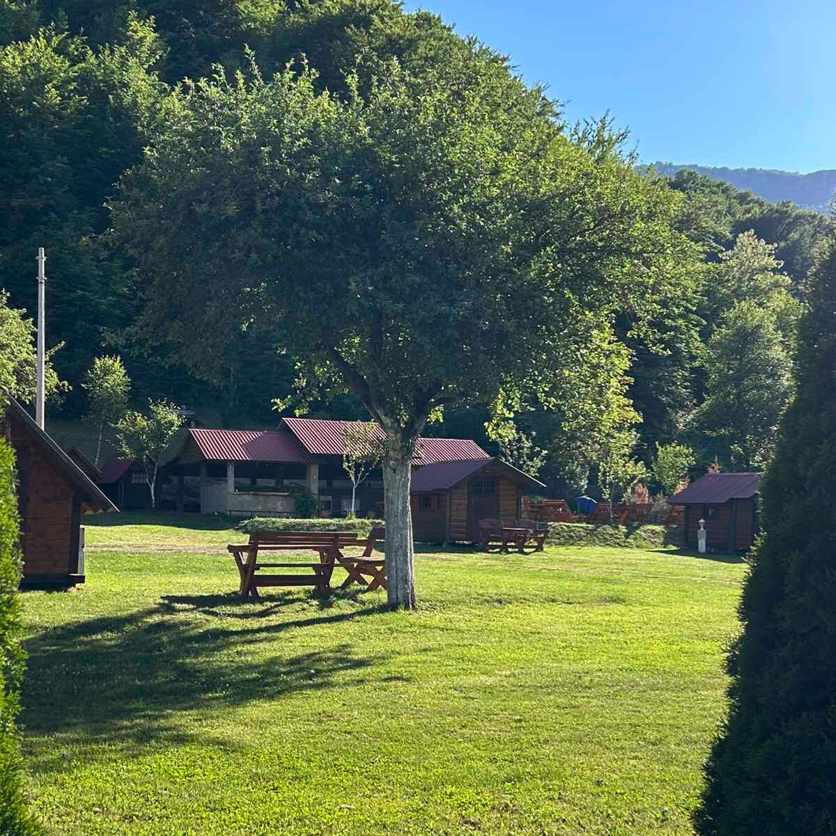 Camp Scepanovic