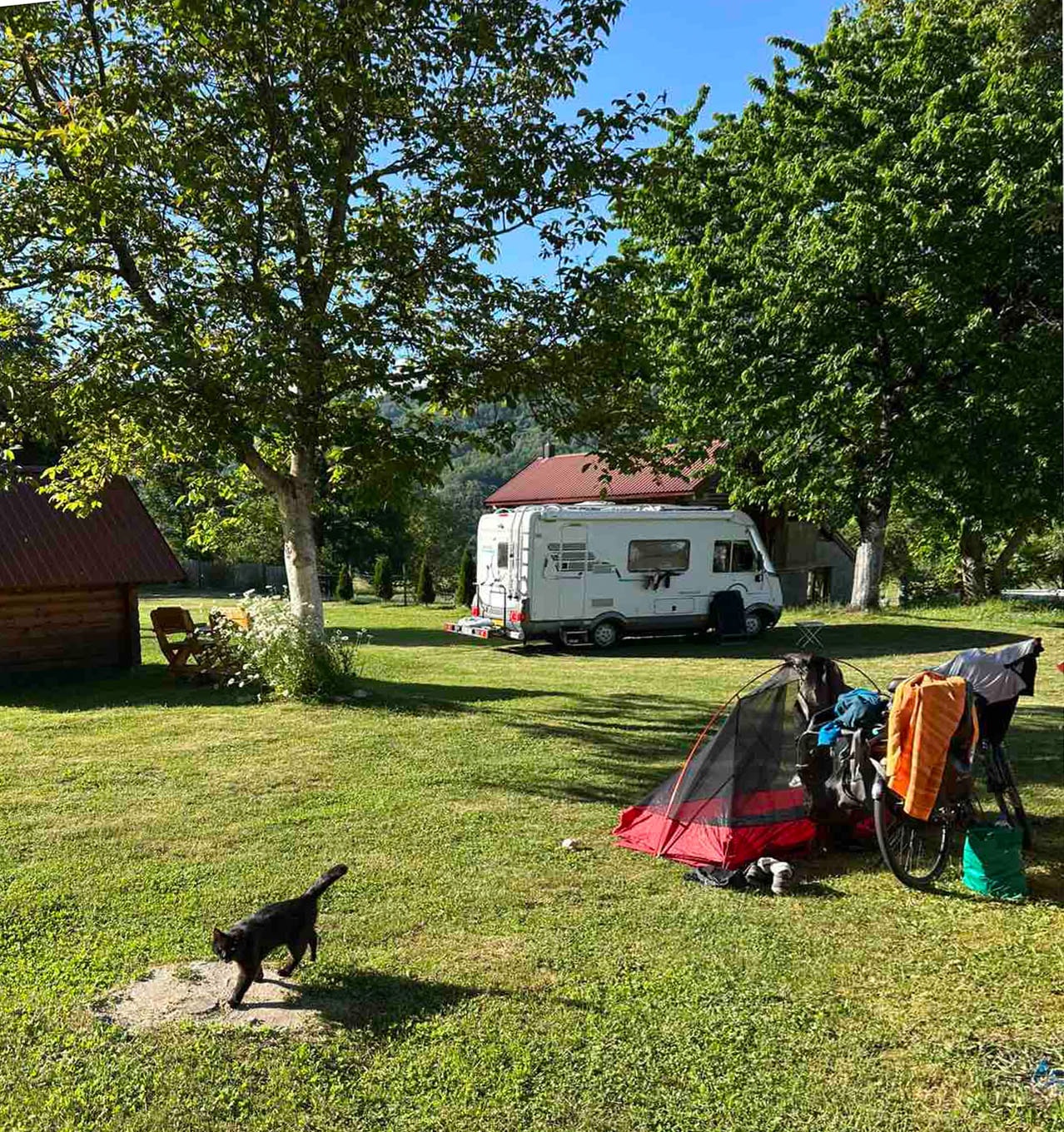 Camp Scepanovic