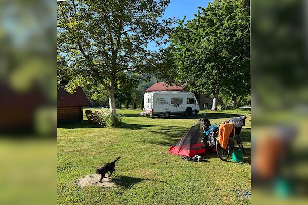 Camp Scepanovic