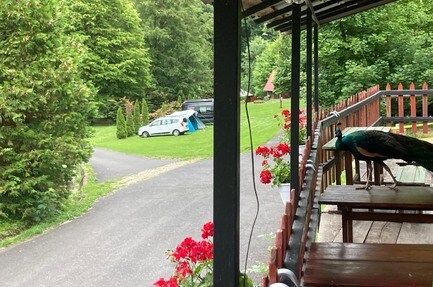 Hollóstetöi-Hegyi Camping
