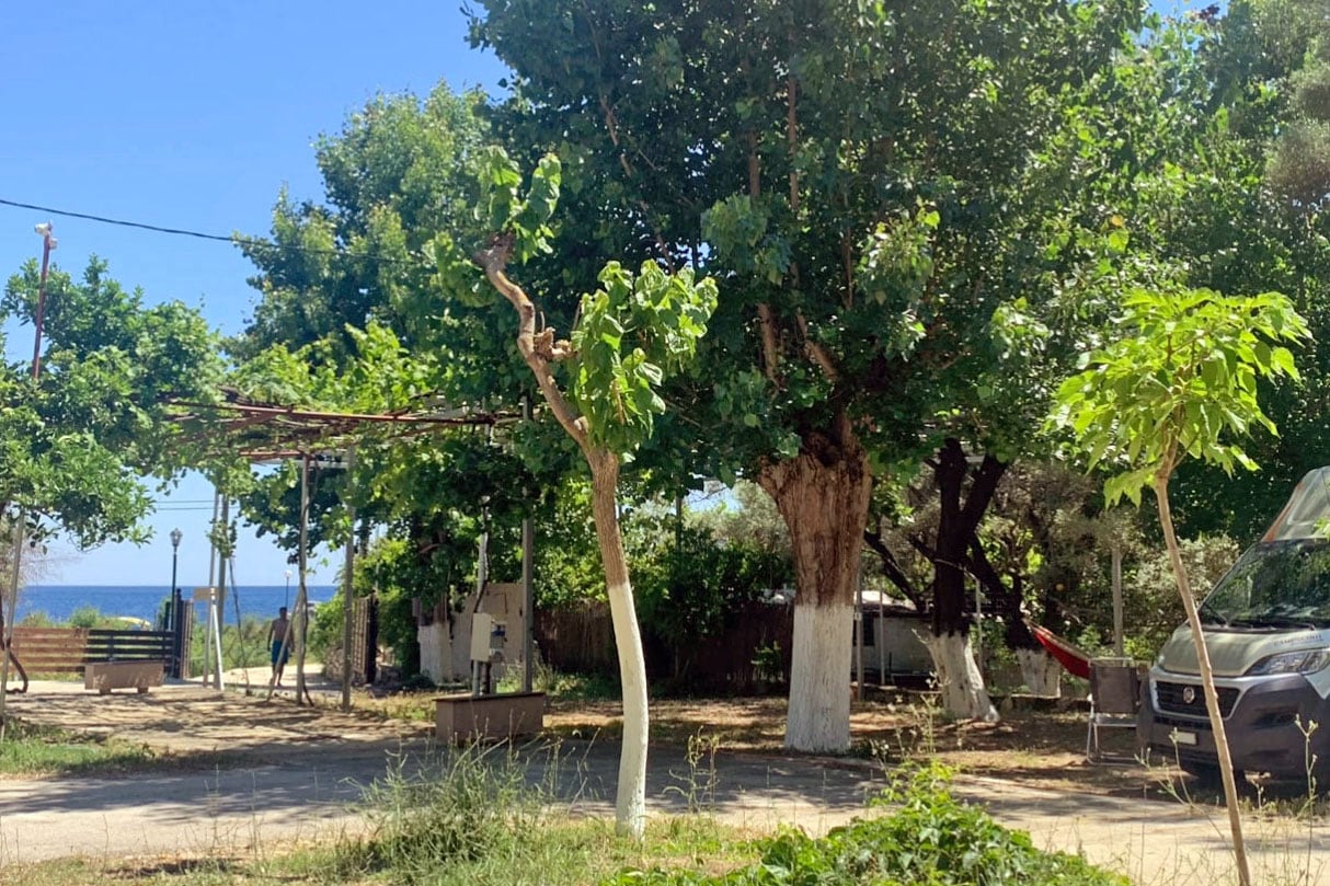 Camping & Bungalows Poros Beach