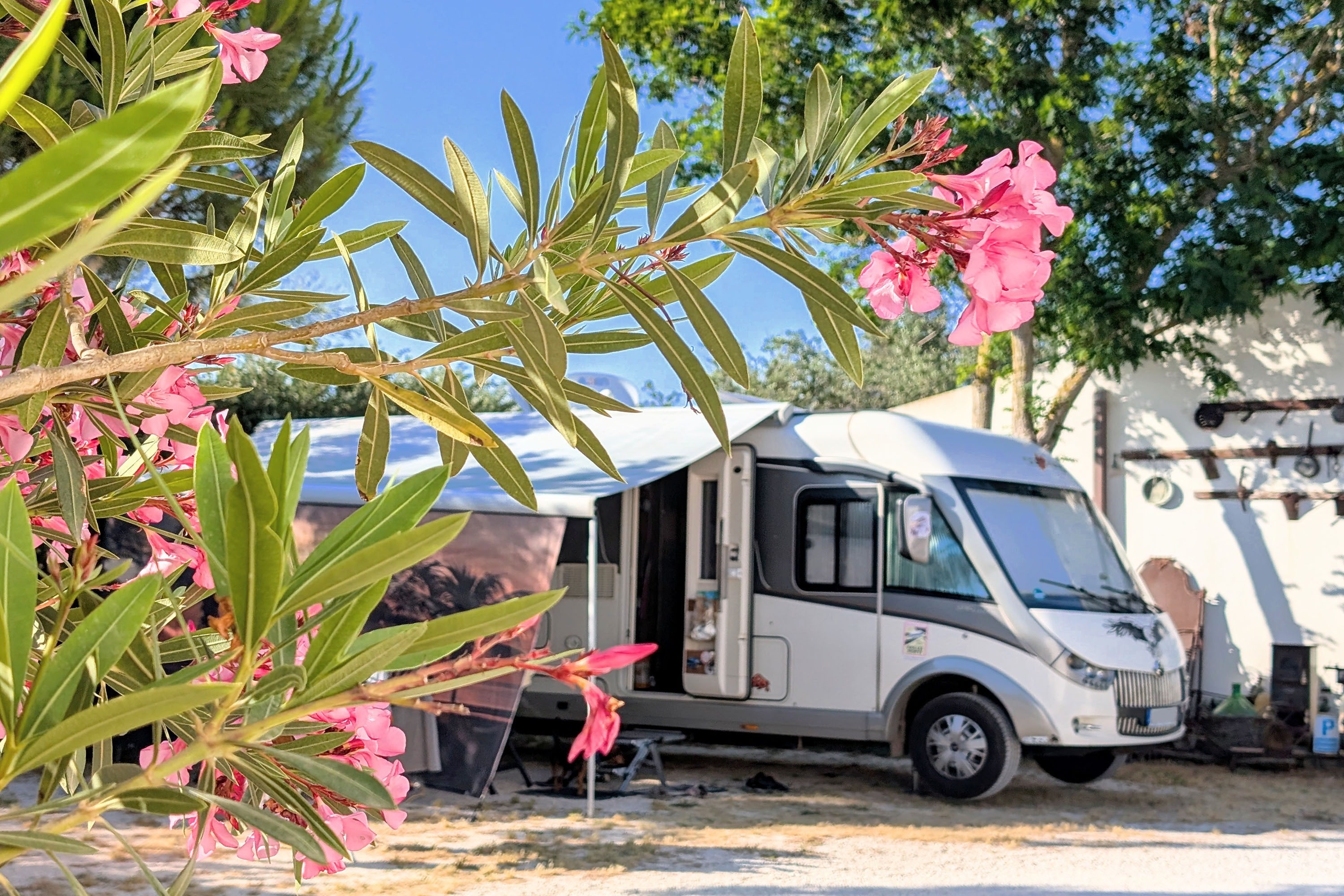 Camping Lilybeo Village