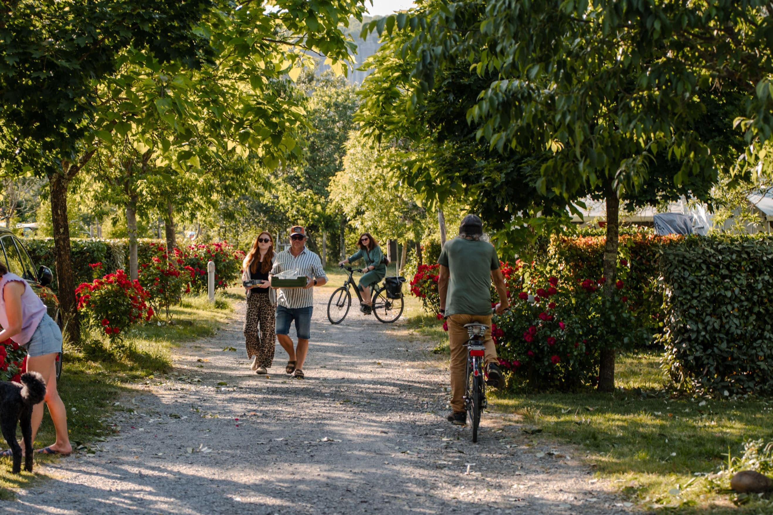 Camping Du Pont