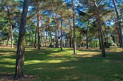 Camping Domaine de la Pinède