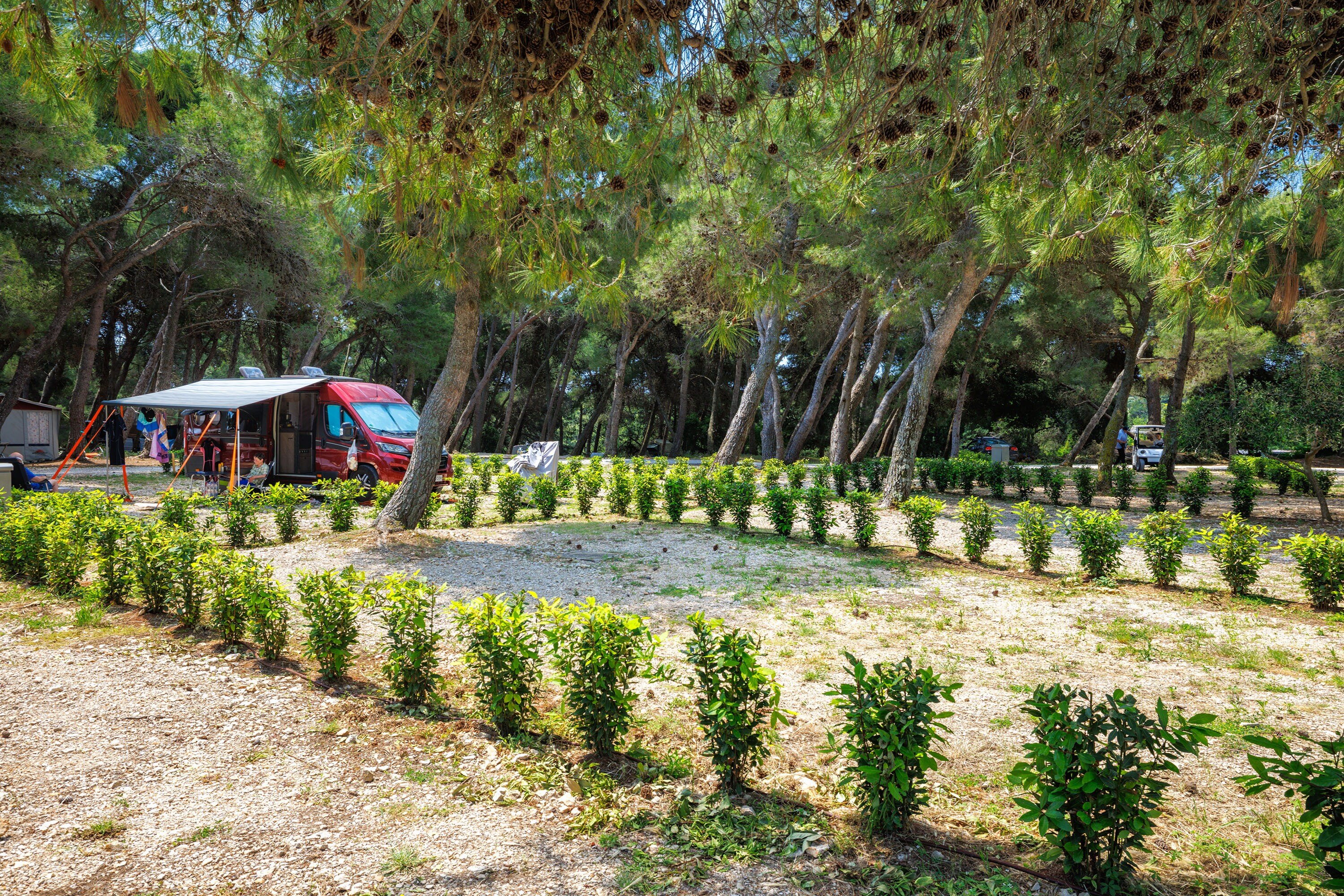 Arena Stupice Campsite