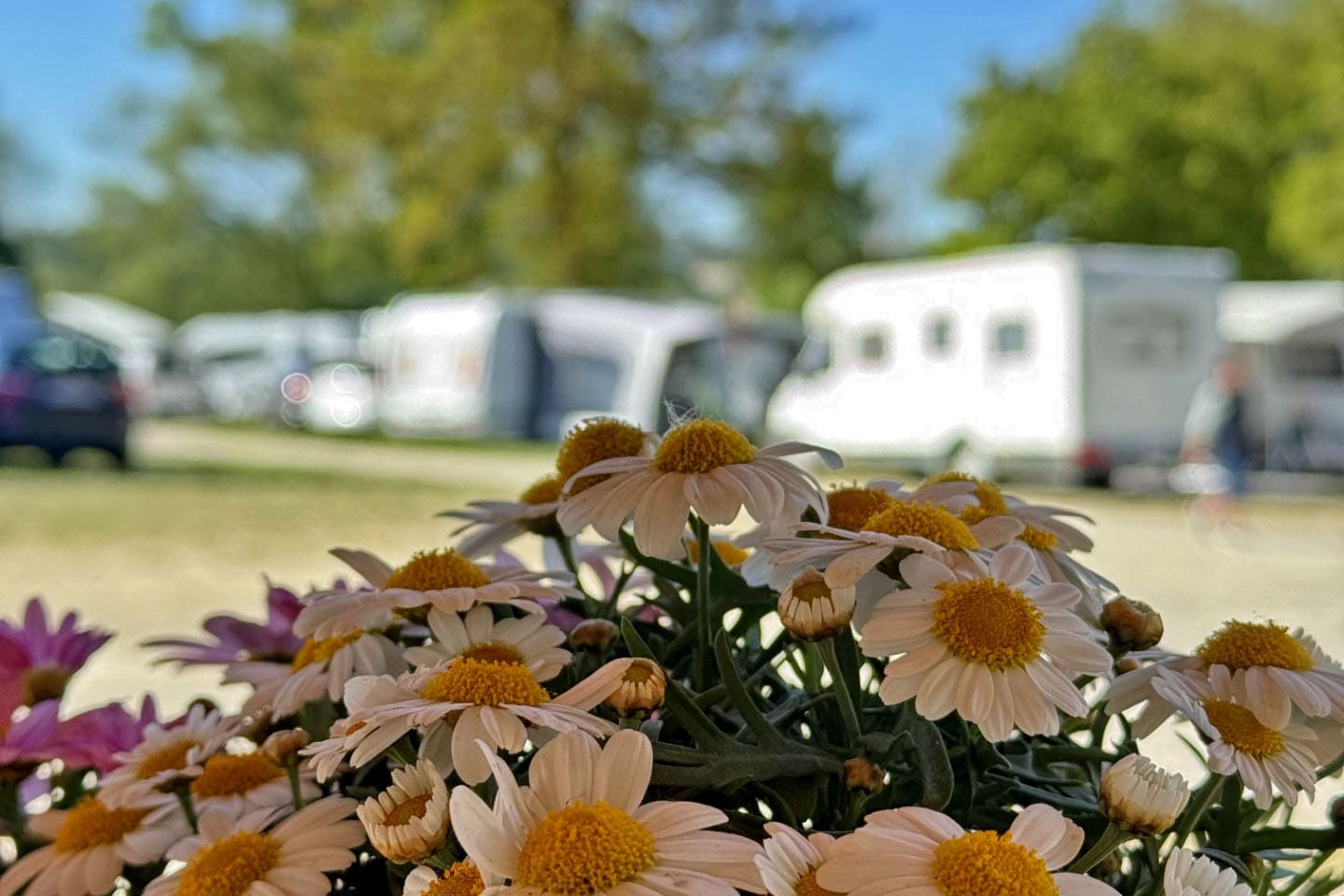 Donau Camping Emmersdorf
