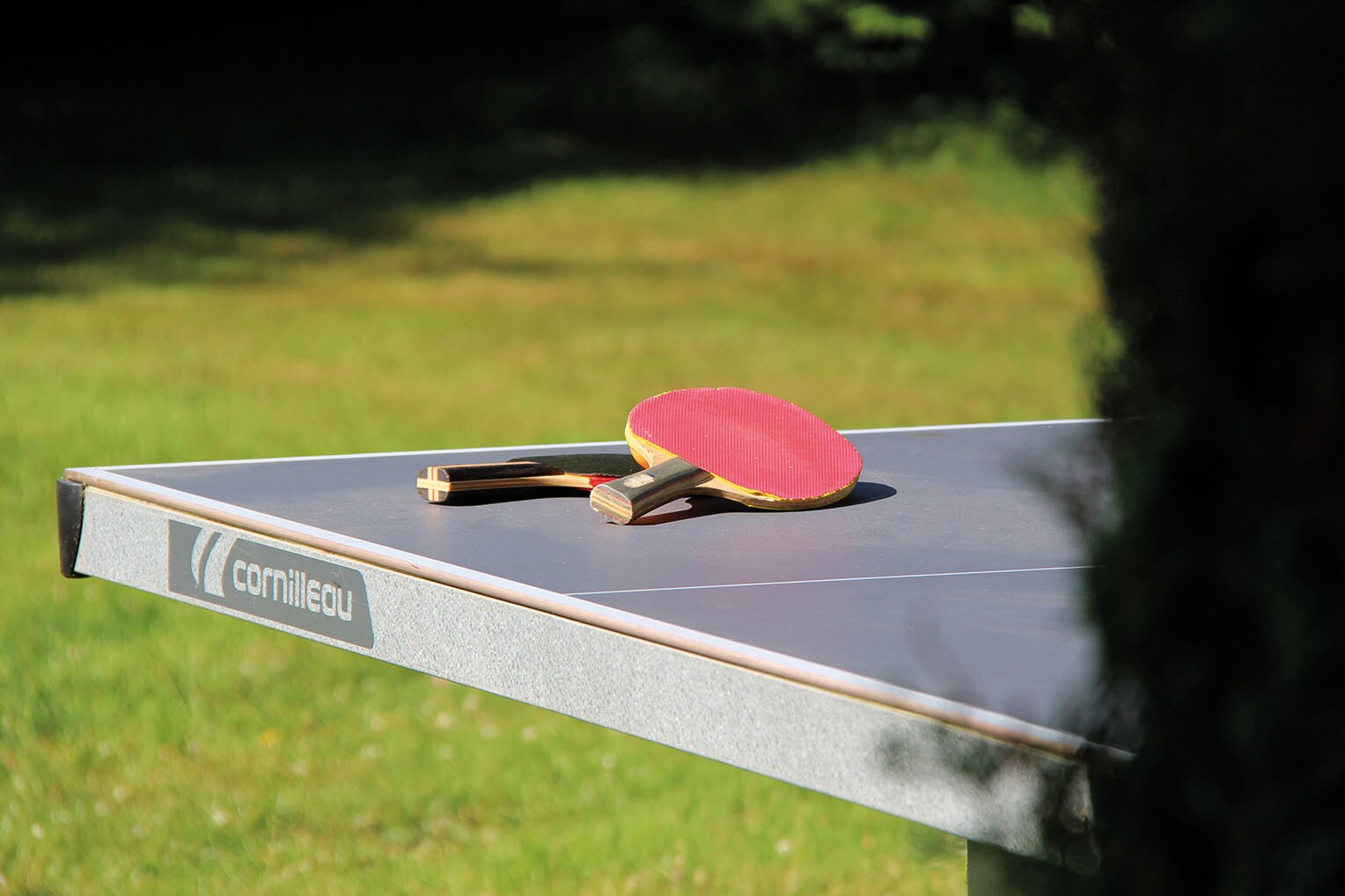 Camping Le Picard
