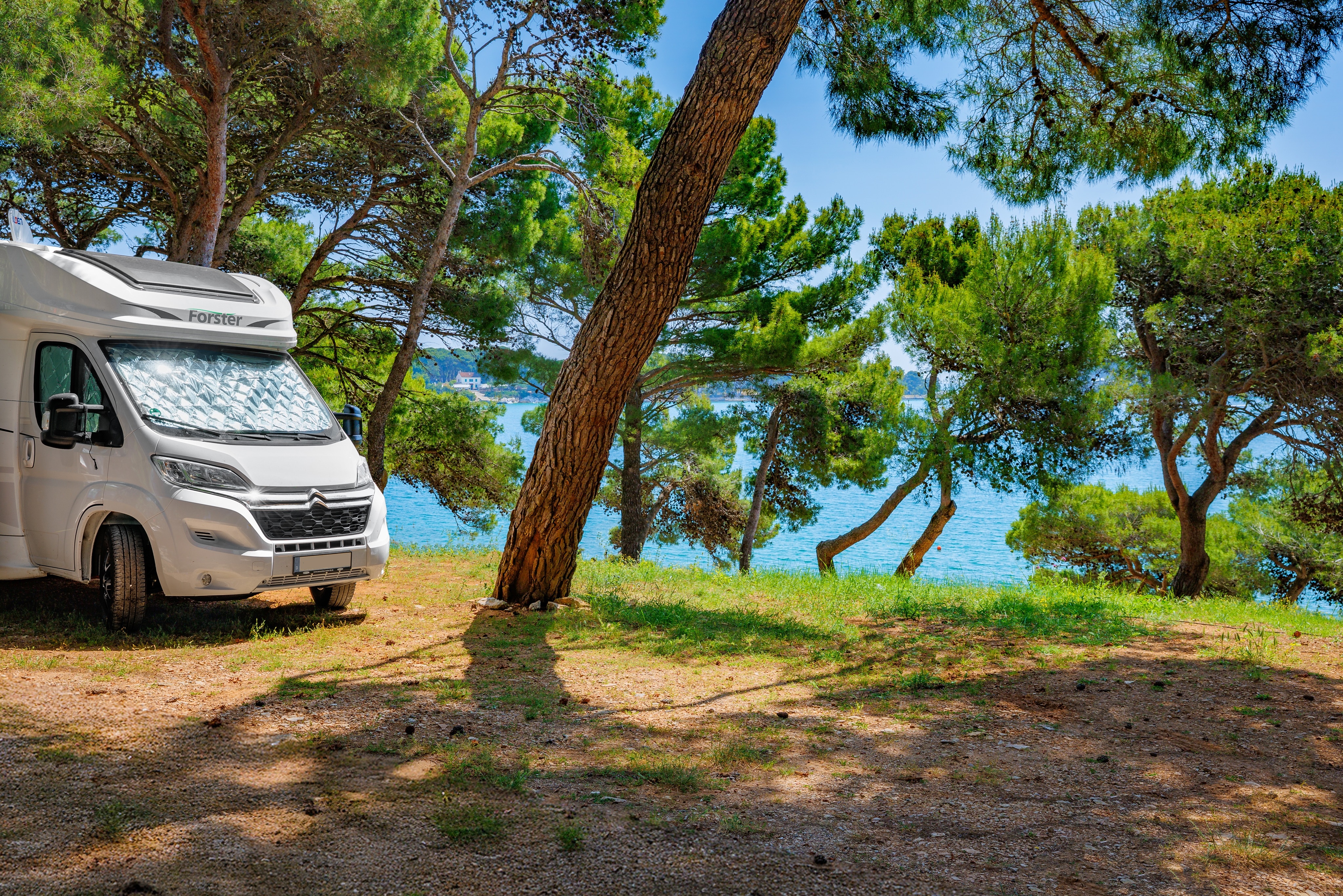 Arena Tašalera Campsite