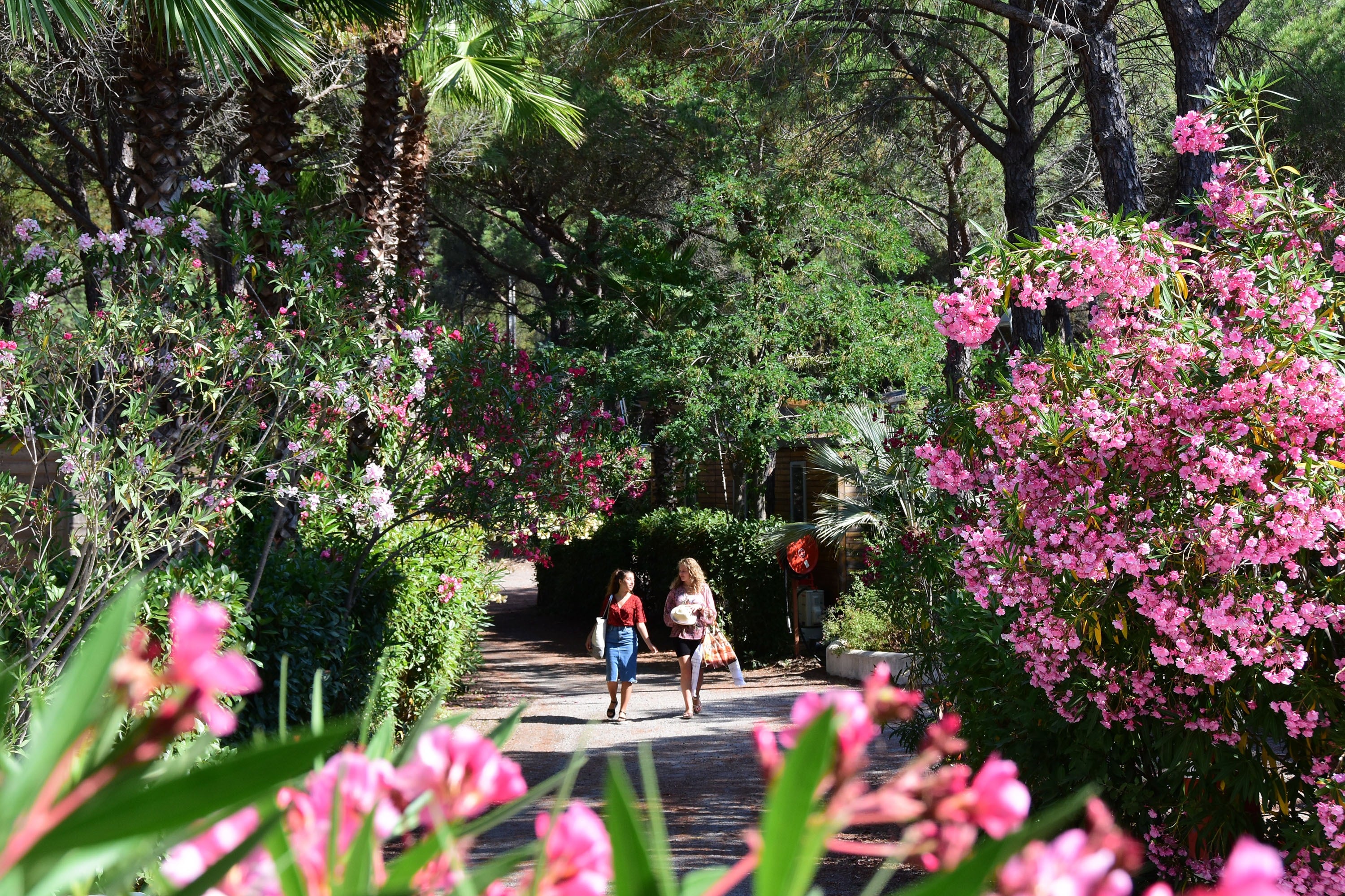Camping La Baume/La Palmeraie
