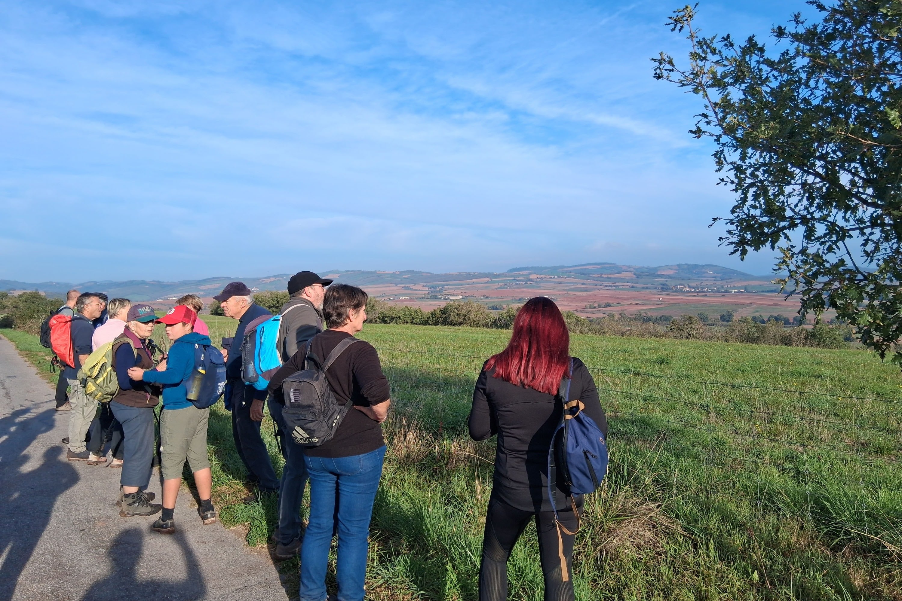 Camping Vert Lavande