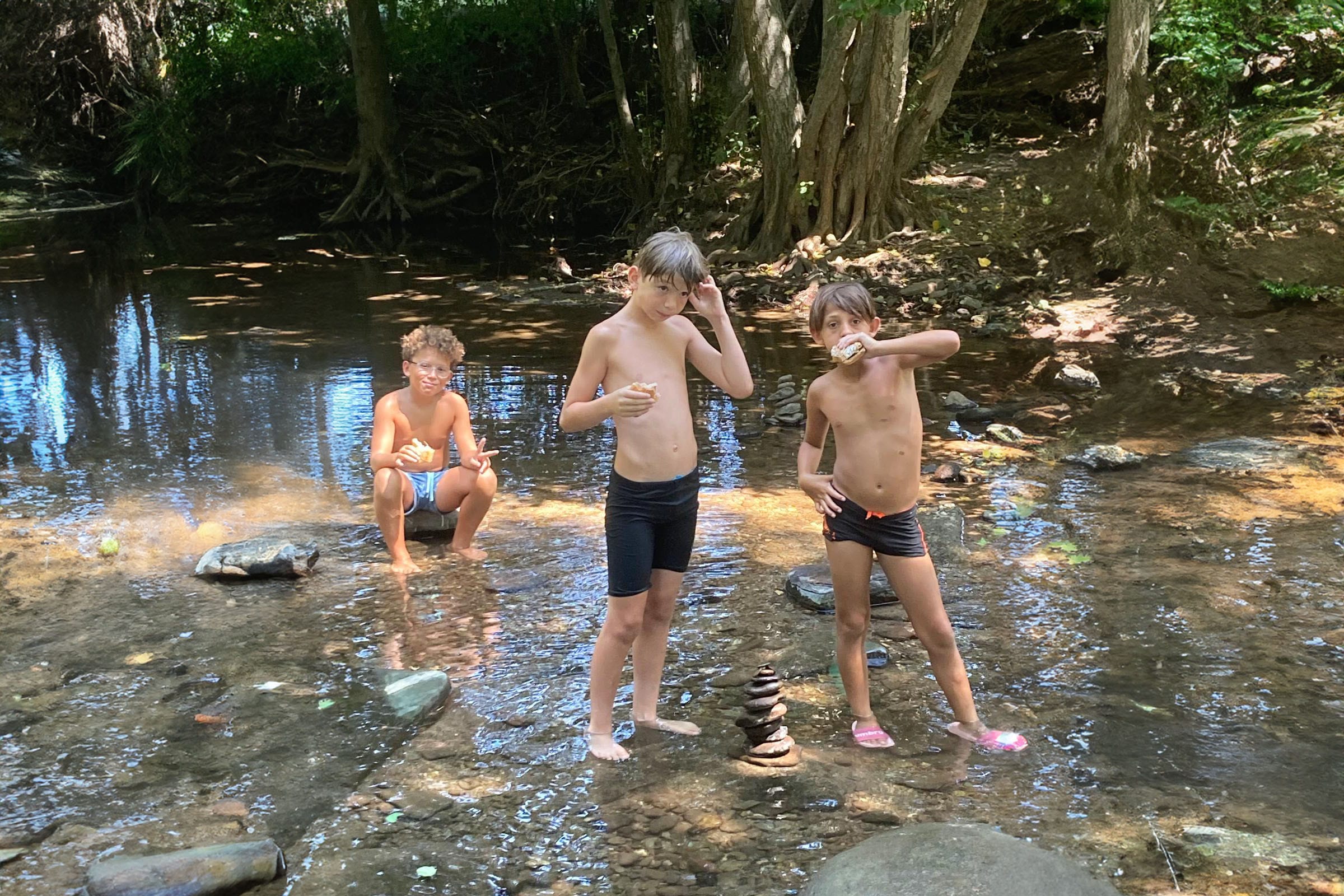 Camping Vert Lavande