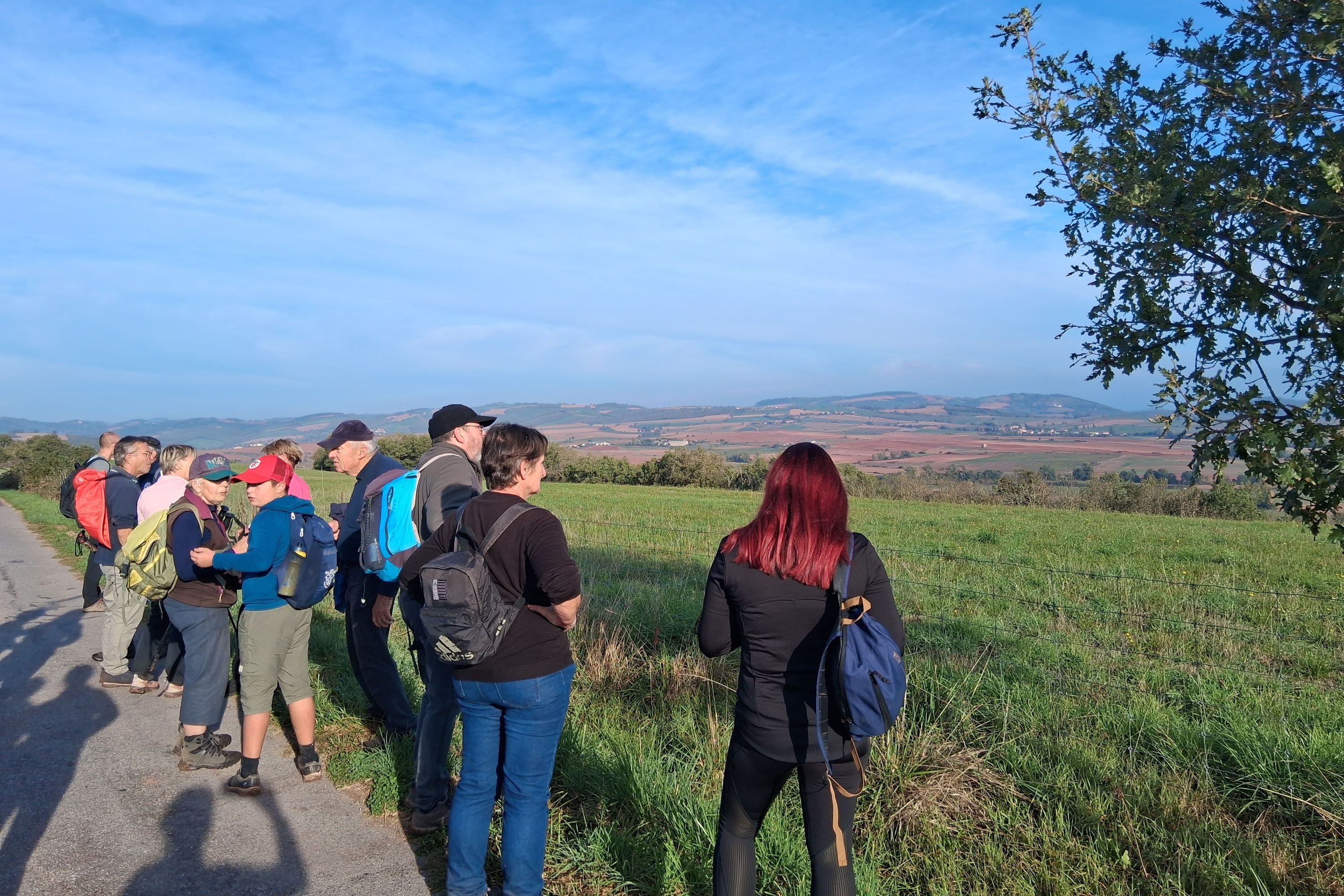 Camping Vert Lavande